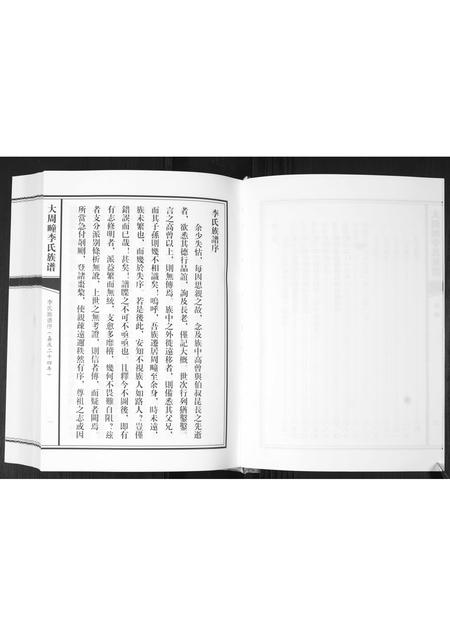山东李氏-大周疃李氏族谱[不分卷].pdf电子版插图5