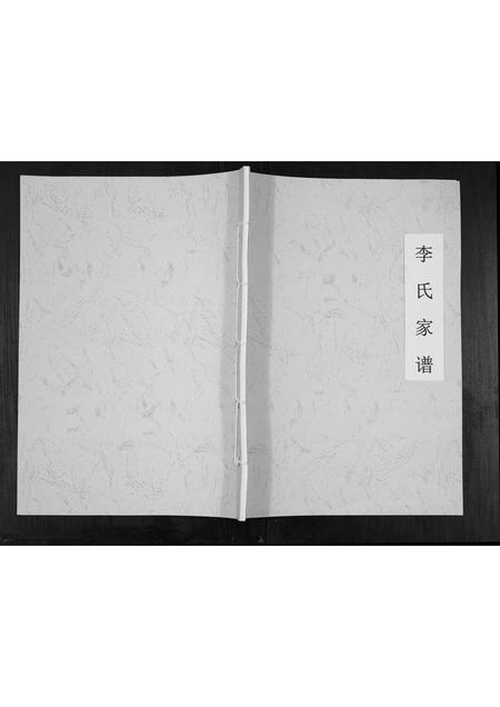 山西李氏-李氏家谱[不分卷].pdf电子版插图