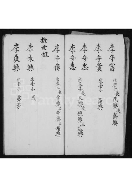山西李氏-[李西]伍门家谱.pdf电子版插图5