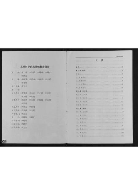 广西李氏-上桥村李氏族谱.pdf电子版插图2
