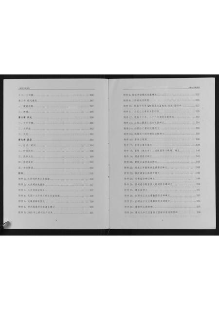 广西李氏-上桥村李氏族谱.pdf电子版插图4