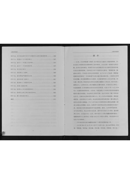 广西李氏-上桥村李氏族谱.pdf电子版插图5