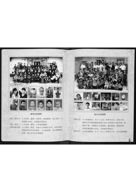 广西李氏-博白文地东门李氏族谱达泉公支系.pdf电子版插图4