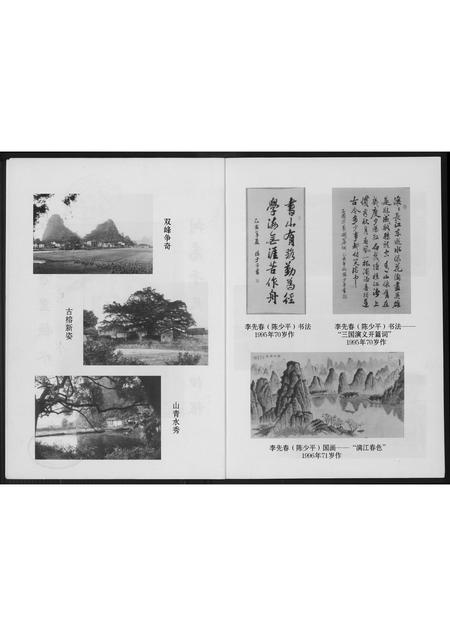 广西李氏-广西荔浦李氏族谱.pdf电子版插图3