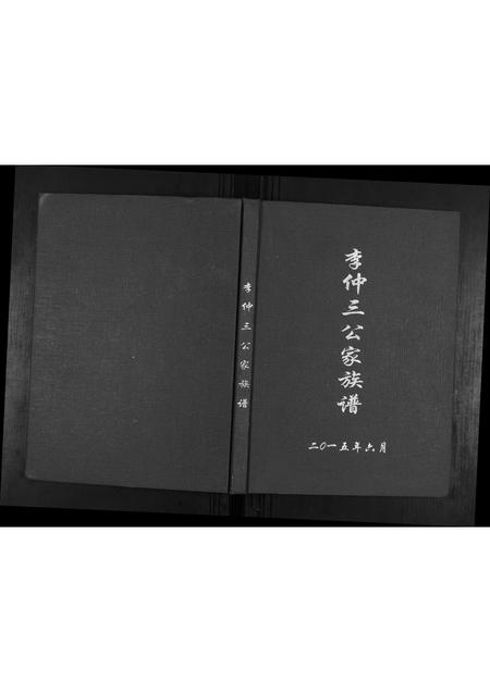广西李氏-李仲三公家族谱.pdf电子版插图