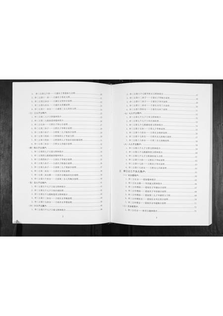 广西李氏-李仲三公家族谱.pdf电子版插图2