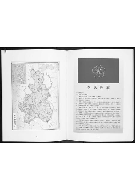 广西李氏-李仲三公家族谱.pdf电子版插图4