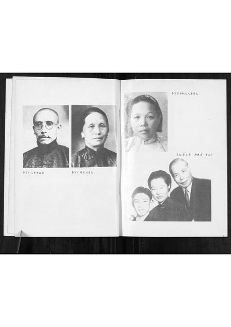 广西李氏-李宗仁世家[不分卷].pdf电子版插图3