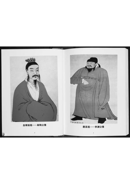 广西李氏-李氏族谱.pdf电子版插图3