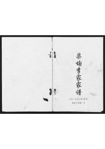 广西李氏-渠墈李家家谱.pdf电子版插图