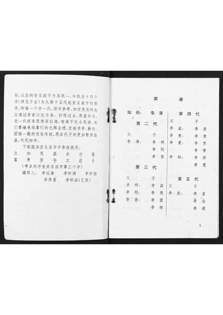 广西李氏-渠墈李家家谱.pdf电子版插图2