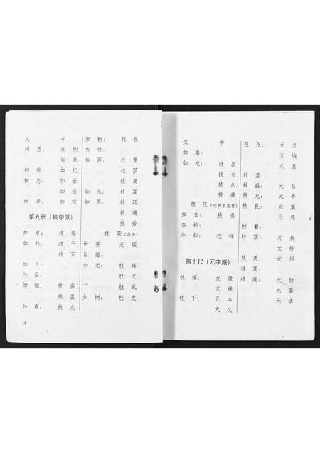 广西李氏-渠墈李家家谱.pdf电子版插图4
