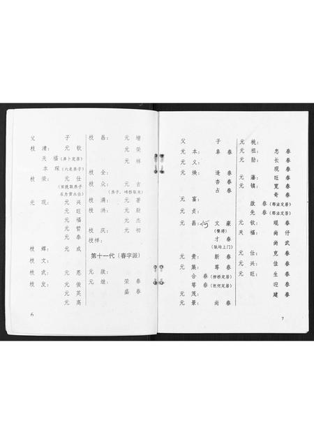 广西李氏-渠墈李家家谱.pdf电子版插图5
