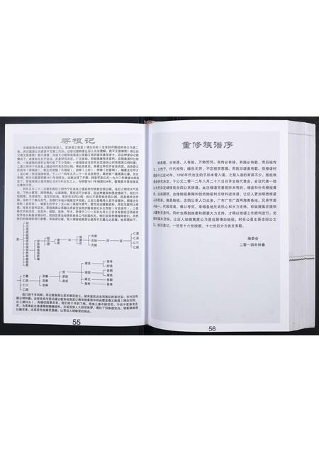 广西李氏-科甲李氏族谱.pdf电子版插图3