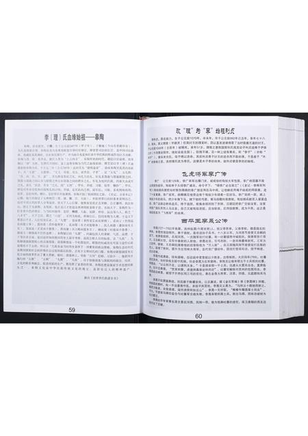 广西李氏-科甲李氏族谱.pdf电子版插图5