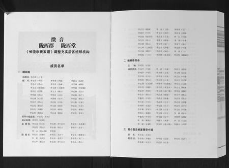 广西李氏-长流李氏家谱.pdf电子版插图3