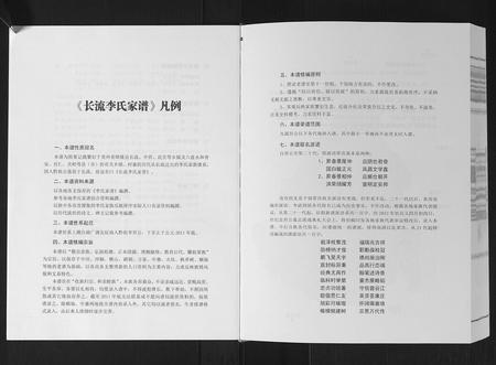 广西李氏-长流李氏家谱.pdf电子版插图5