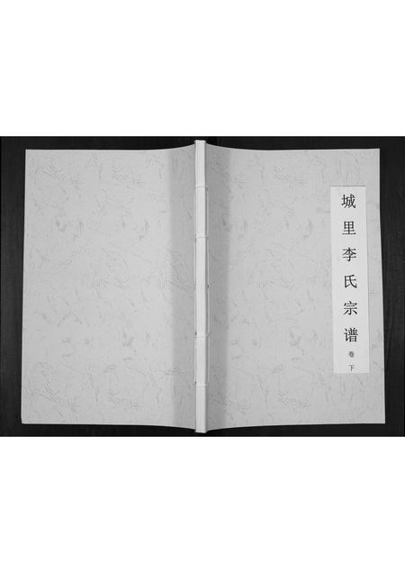 河北李氏-城里李氏宗谱[2卷].pdf电子版插图