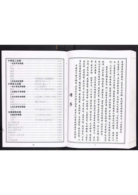 河北李氏-小李庄李氏族谱.pdf电子版插图5