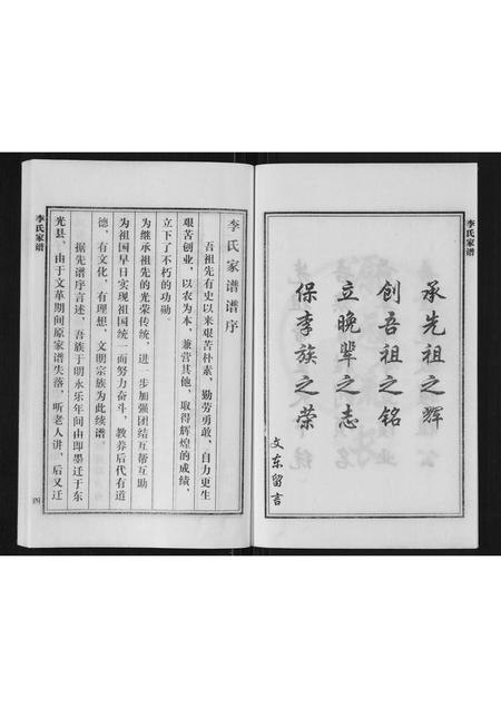 河北李氏-李氏家谱.pdf电子版插图4