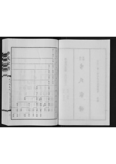 河北李氏-李氏家谱[甲乙卷].pdf电子版插图2
