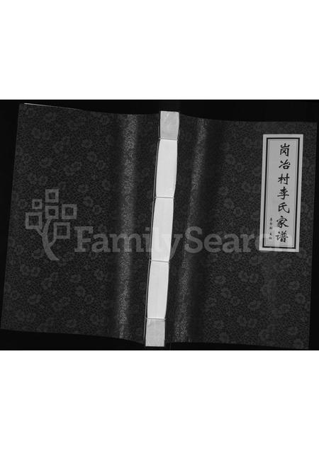河北李氏-岗冶村李氏家谱 [不分卷].pdf电子版插图
