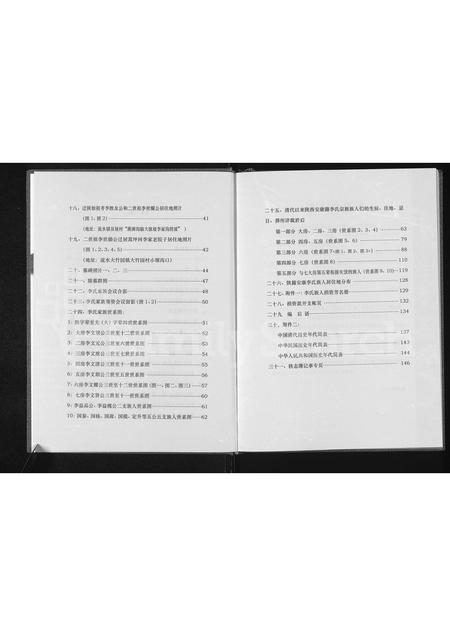 陜西李氏-陕西安康李氏家谱.pdf电子版插图4
