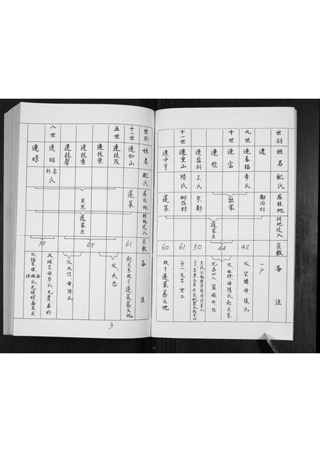 山东连氏-连氏家册.pdf电子版插图4