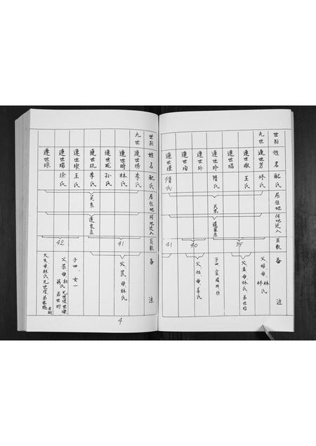 山东连氏-连氏家册.pdf电子版插图5