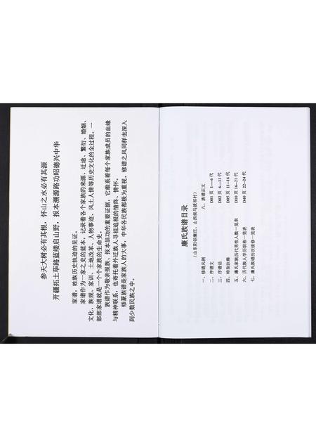 山东廉氏-廉氏族谱.pdf电子版插图2