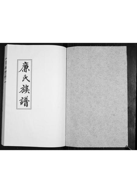 山东廉氏-廉氏族谱[3卷].pdf电子版插图1