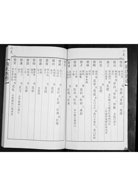 山东廉氏-廉氏族谱[3卷].pdf电子版插图3