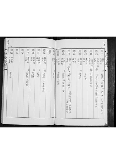 山东廉氏-廉氏族谱[3卷].pdf电子版插图4