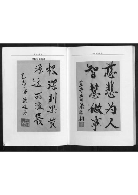 四川梁氏-梁氏族谱[不分卷].pdf电子版插图4
