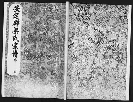 山东梁氏-安定郡梁氏族谱[26卷].pdf电子版插图
