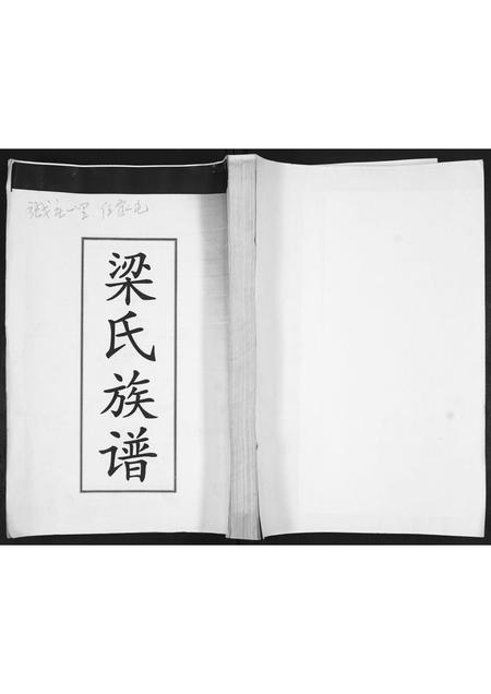 山东梁氏-梁氏族谱.pdf电子版插图