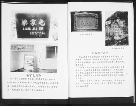 山东梁氏-梁氏族谱[2卷].pdf电子版插图5