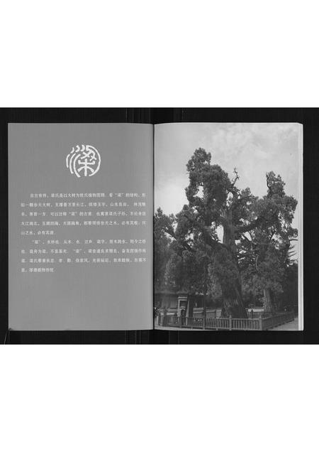 广西梁氏-梁氏五百年家谱.pdf电子版插图1