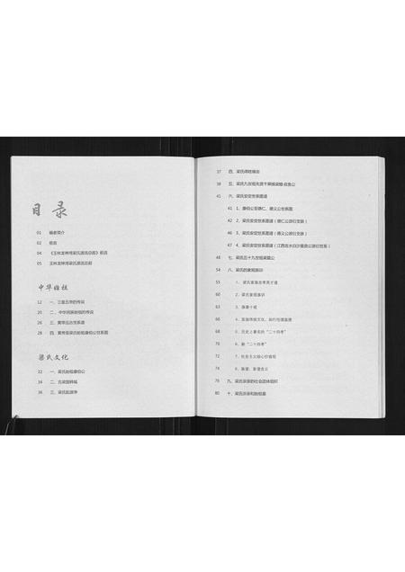 广西梁氏-梁氏五百年家谱.pdf电子版插图4