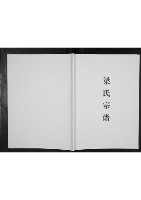 广西梁氏-梁氏宗谱[不分卷].pdf电子版插图