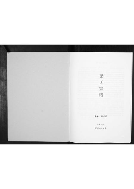 广西梁氏-梁氏宗谱[不分卷].pdf电子版插图1