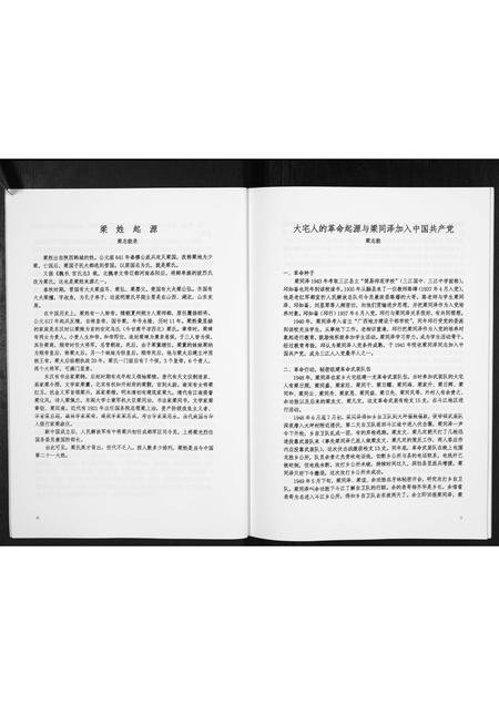 广西梁氏-梁氏宗谱[不分卷].pdf电子版插图4
