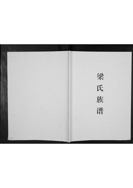 广西梁氏-梁氏宗谱[不分卷].pdf电子版插图