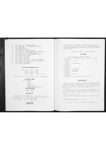 广西梁氏-梁氏宗谱[不分卷].pdf电子版插图5