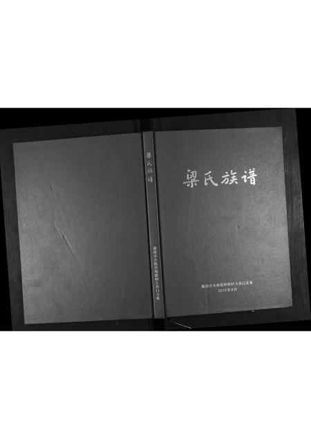广西梁氏-梁氏族谱.pdf电子版插图