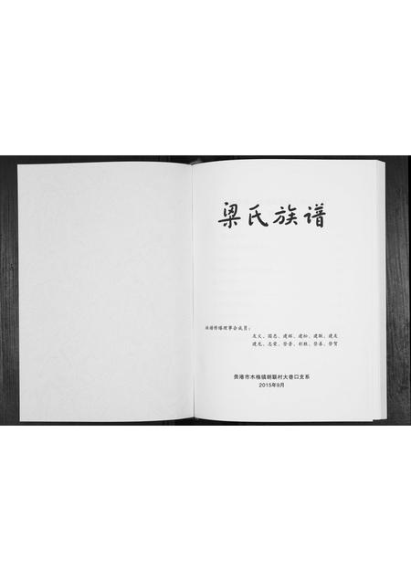 广西梁氏-梁氏族谱.pdf电子版插图1