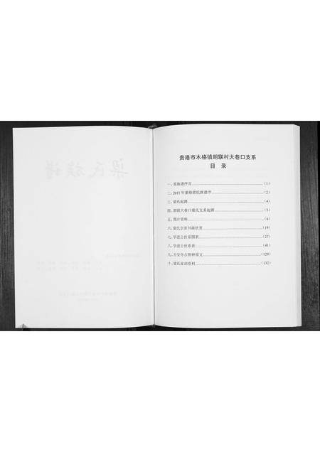 广西梁氏-梁氏族谱.pdf电子版插图2