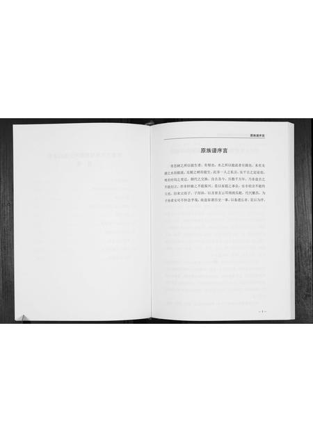 广西梁氏-梁氏族谱.pdf电子版插图3