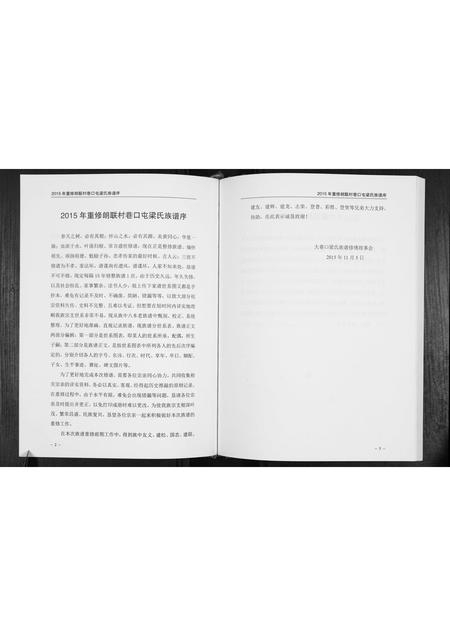 广西梁氏-梁氏族谱.pdf电子版插图4