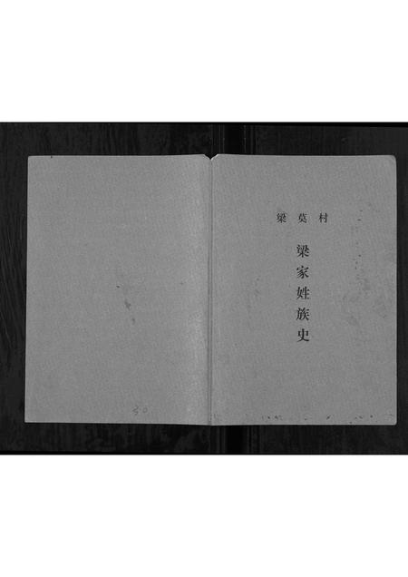 广西梁氏-梁莫村梁家姓族史[不分卷].pdf电子版插图